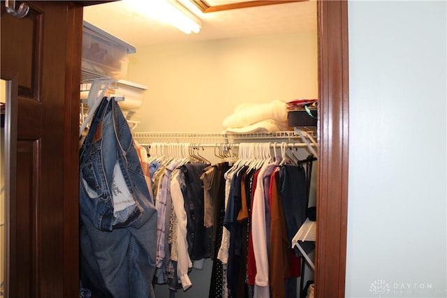 view of spacious closet