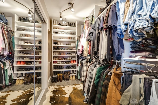 walk in closet featuring wood-type flooring