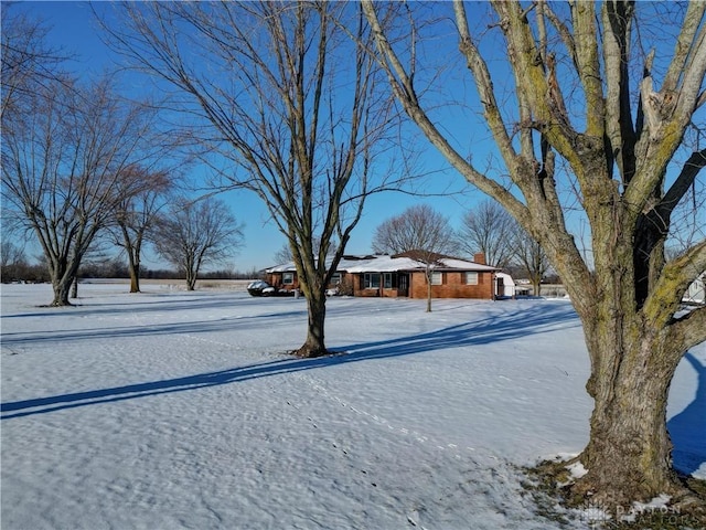 view of snowy yard