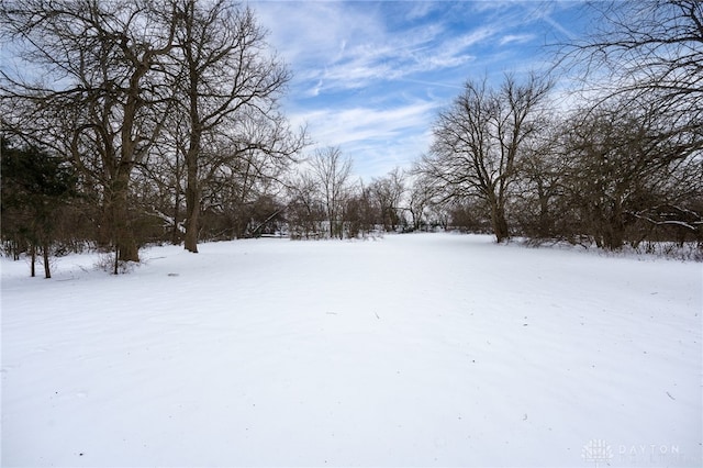 view of snowy yard