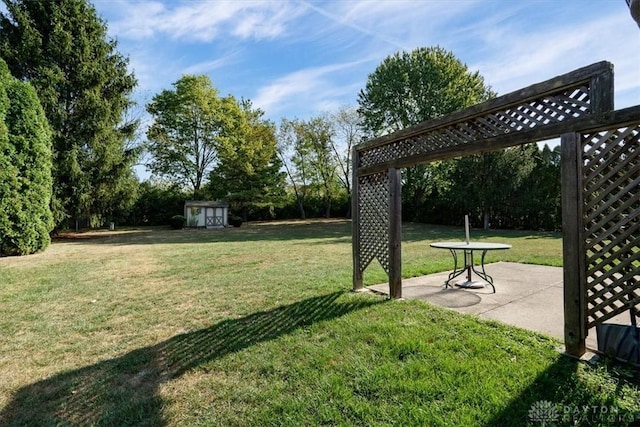 view of yard with a shed and a patio area