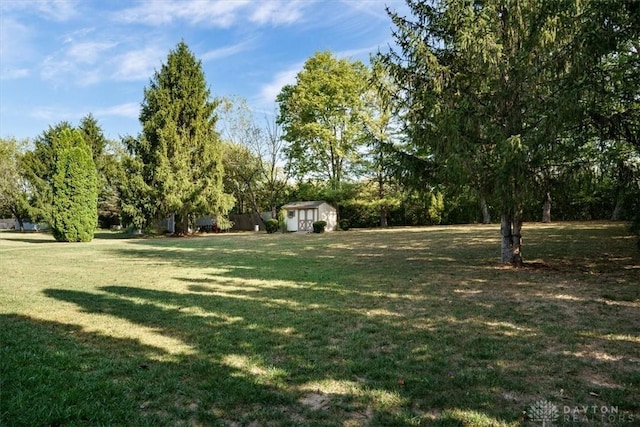 view of yard featuring a storage unit