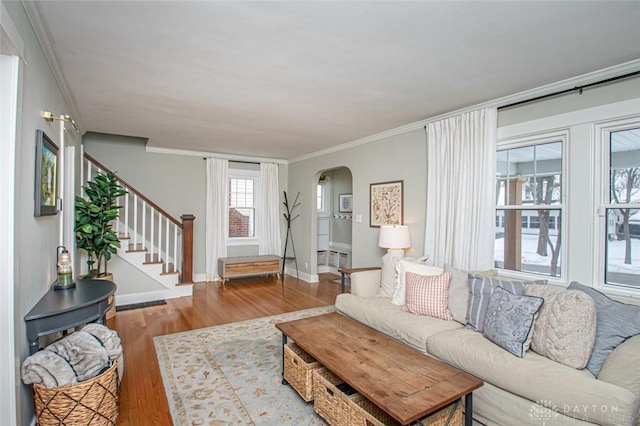 living room featuring ornamental molding and hardwood / wood-style floors