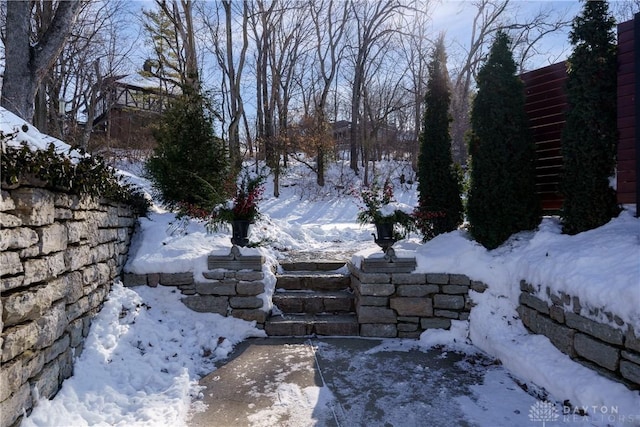 view of snowy yard