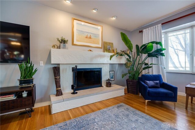 sitting room with wood-type flooring