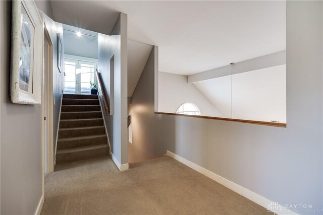 staircase with lofted ceiling, carpet flooring, and plenty of natural light