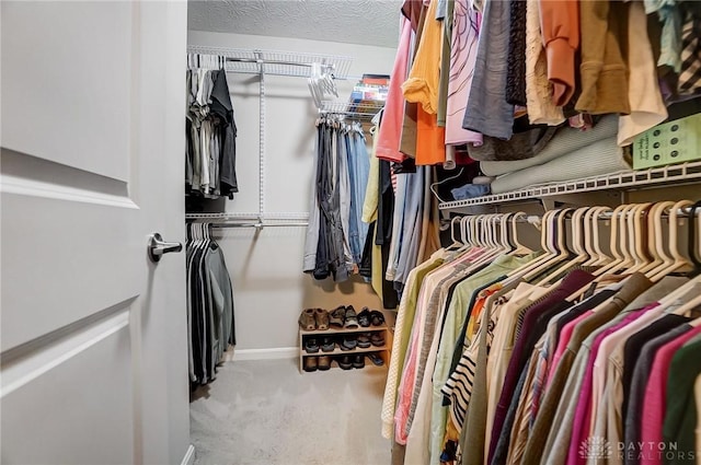 spacious closet featuring carpet floors