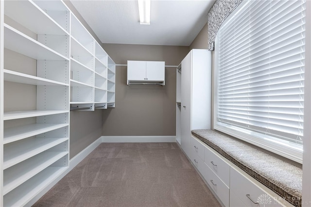 spacious closet with light carpet