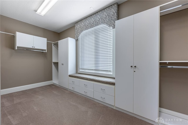 walk in closet with light colored carpet