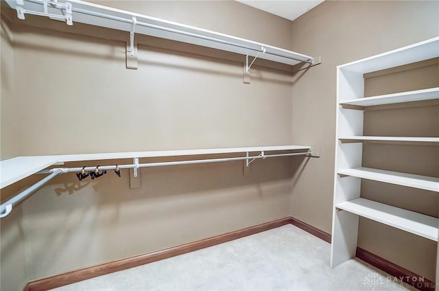 view of spacious closet