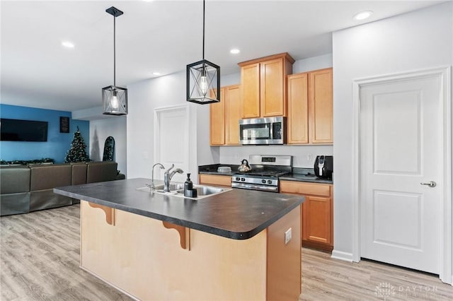 kitchen featuring sink, light hardwood / wood-style floors, hanging light fixtures, and appliances with stainless steel finishes