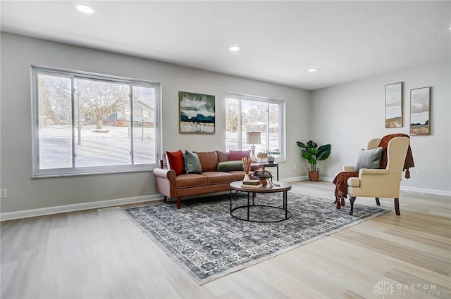 living room featuring light hardwood / wood-style flooring