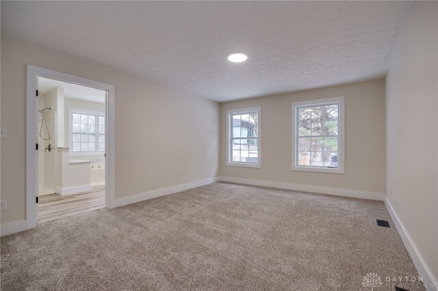 carpeted empty room featuring a textured ceiling