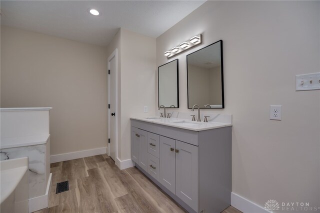 bathroom with wood-type flooring and vanity