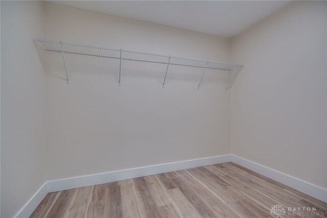 walk in closet with light wood-type flooring