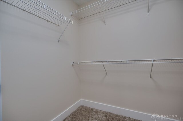 walk in closet with carpet