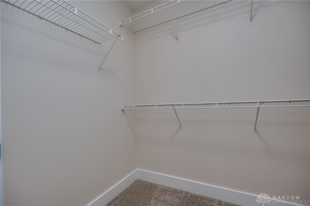 walk in closet featuring carpet