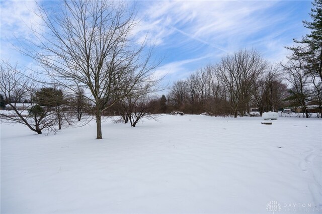 view of yard layered in snow