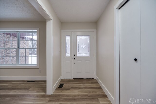 entryway featuring a healthy amount of sunlight and wood-type flooring