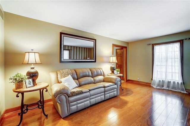 living room with hardwood / wood-style flooring