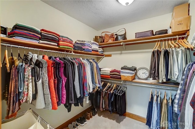 spacious closet with light colored carpet