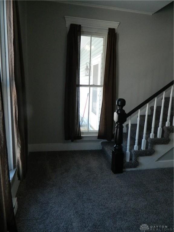 entryway featuring plenty of natural light and dark carpet