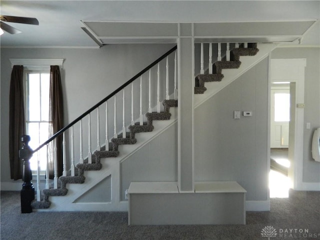 stairs with ceiling fan and carpet