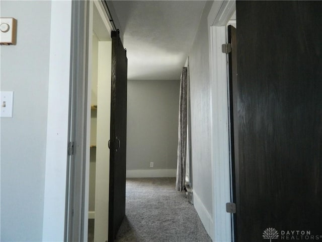 hallway featuring carpet flooring