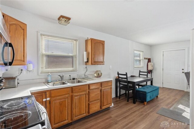 kitchen featuring sink, hardwood / wood-style floors, and stainless steel electric range