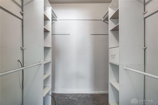 walk in closet featuring dark carpet