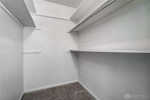 spacious closet featuring carpet