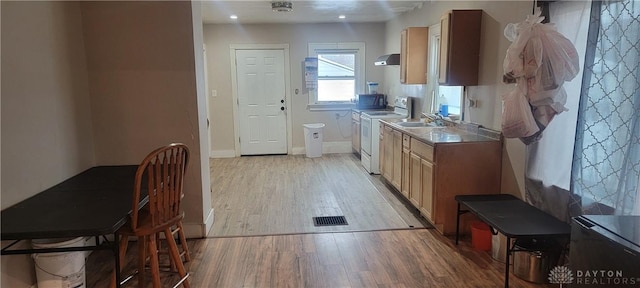 kitchen featuring sink, white electric range oven, and light hardwood / wood-style flooring