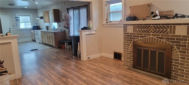 interior space with a brick fireplace, a healthy amount of sunlight, and light hardwood / wood-style flooring