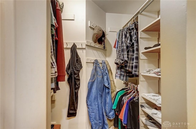 view of walk in closet