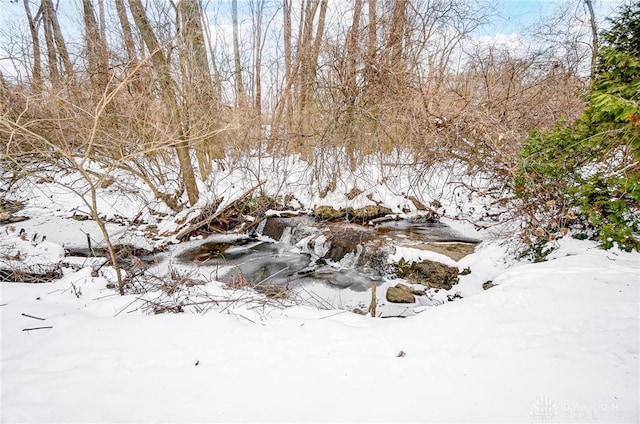 view of snowy landscape