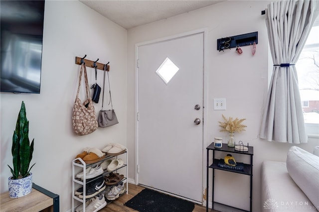 entryway featuring hardwood / wood-style flooring