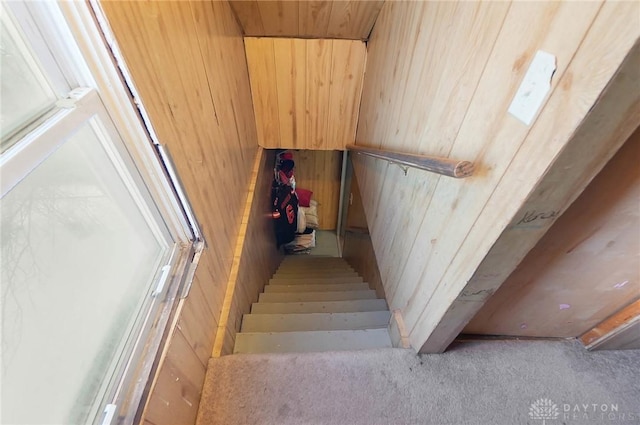 staircase featuring wood walls