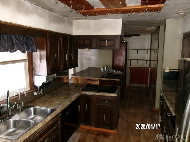 kitchen featuring dark hardwood / wood-style floors, sink, black electric stovetop, and dark brown cabinets