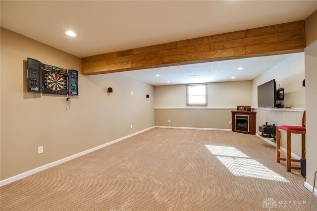 basement featuring carpet