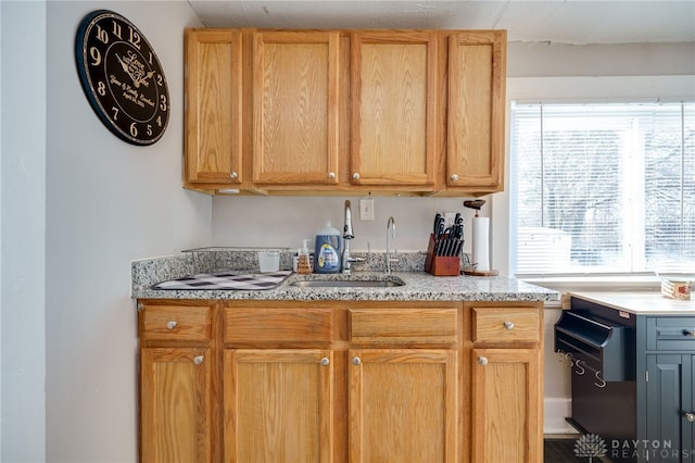 kitchen with sink