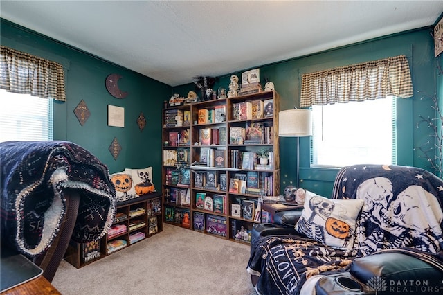 sitting room featuring carpet