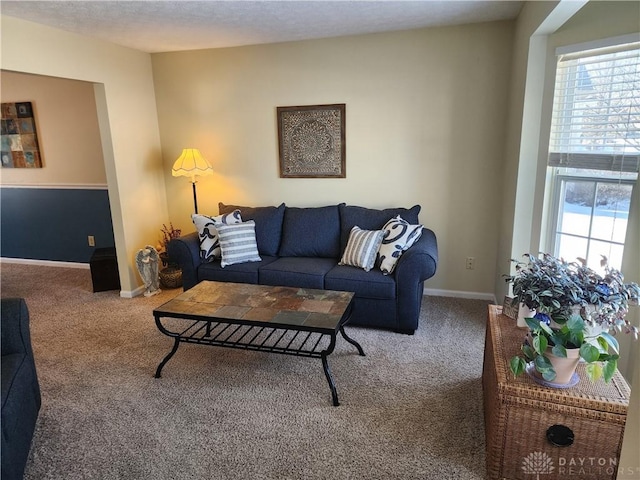 carpeted living room with plenty of natural light