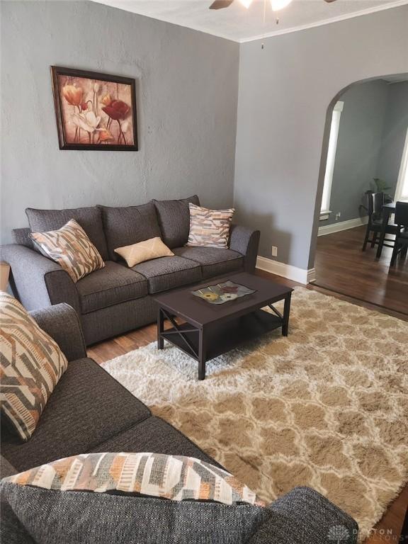 living room with ceiling fan and light hardwood / wood-style flooring