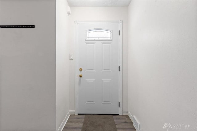 entryway featuring wood-type flooring