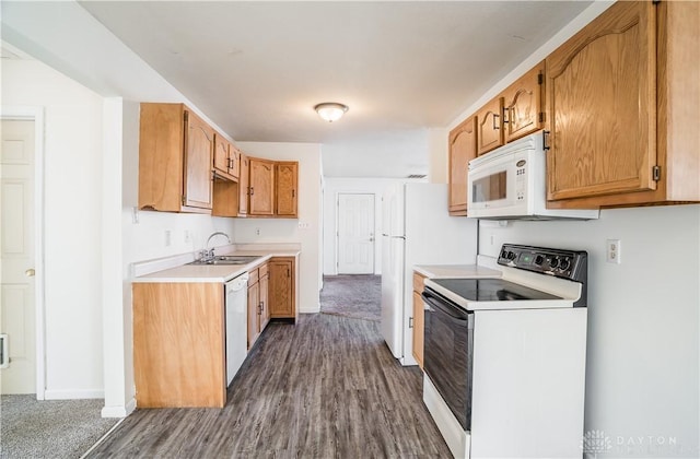 kitchen featuring dark wood-type flooring, sink, and white appliances