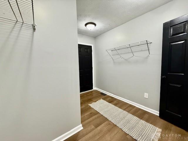 walk in closet with wood-type flooring