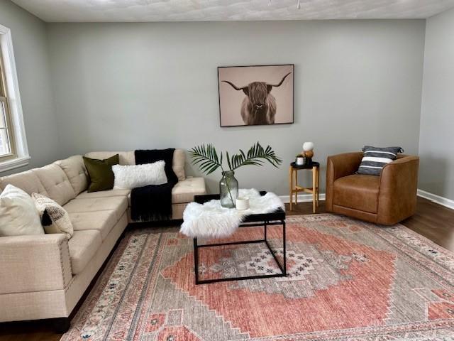 living room with hardwood / wood-style flooring