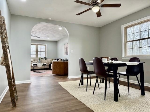 dining room with ceiling fan and hardwood / wood-style floors