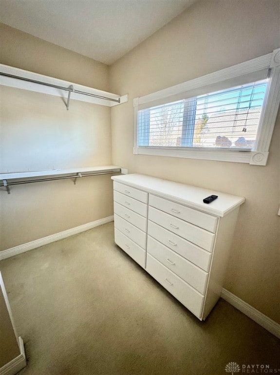 walk in closet with light colored carpet