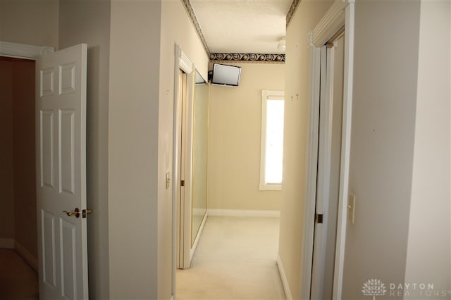 hallway featuring carpet floors